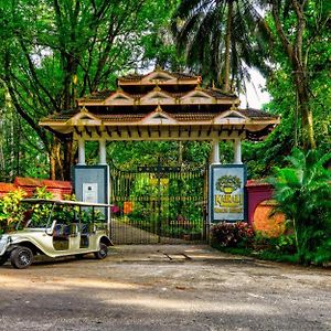 Kairali - The Ayurvedic Healing Village